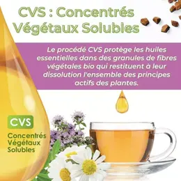 Nutrigée Infusion Bio Concentré de Thym 20 sachets