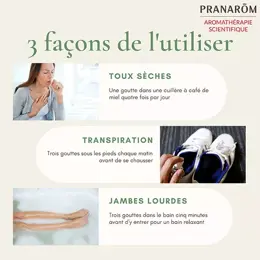 Pranarom Huile Essentielle Cyprès Toujours Vert Bio 5ml