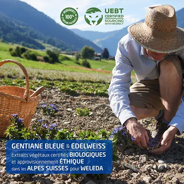 Weleda Gentiane Bleue & Edelweiss Organic Redensifying Night Cream 40ml