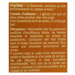 Naturactive Busserole Bio 30 gélules végétales