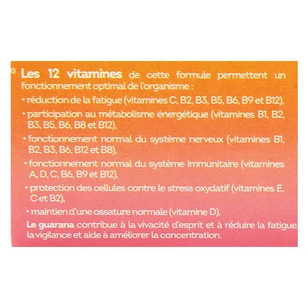 Vitavea Multi Vitamines Booster Energie Défenses naturelles 45 gélules