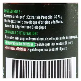 Lehning Propomax Immunité Extrait de Propolis Bio 40 gélules