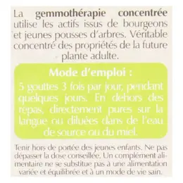 Herbalgem Complexe de Gemmothérapie Midogem Confort Circulation Cérébrale Bio 30ml