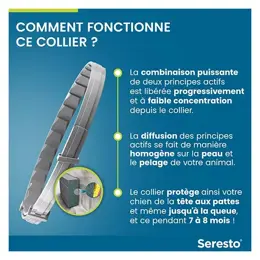 Seresto Grand Chien Collier Anti-Puces et Anti-Tiques +8kg 2 unités