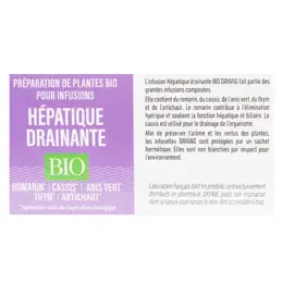 Dayang Infusion Bio Hépatique Drainante 20 sachets