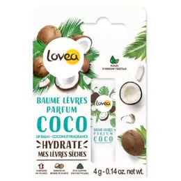 Lovea - Baume À Lèvres Coco Lèvres Sèches Au Beurre De Karité 4g