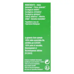 NatureSun Aroms Complexe Diffusion Bio Assainissant Anti-tabac 30ml