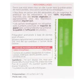 Herbesan Bio Infusion Brûle Graisse 20 sachets