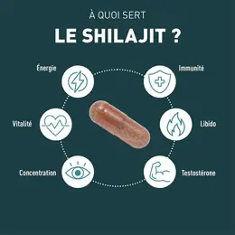 Granions Shilajit 1000 mg - Shilajit Pur Himalaya - 60 Gélules - Format 1 Mois