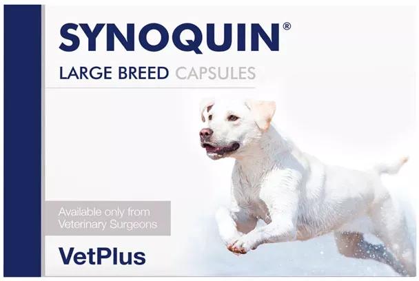 Synoquin EFA Large Breeds 120 capsules