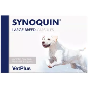 Synoquin EFA Large Breeds 120 capsules