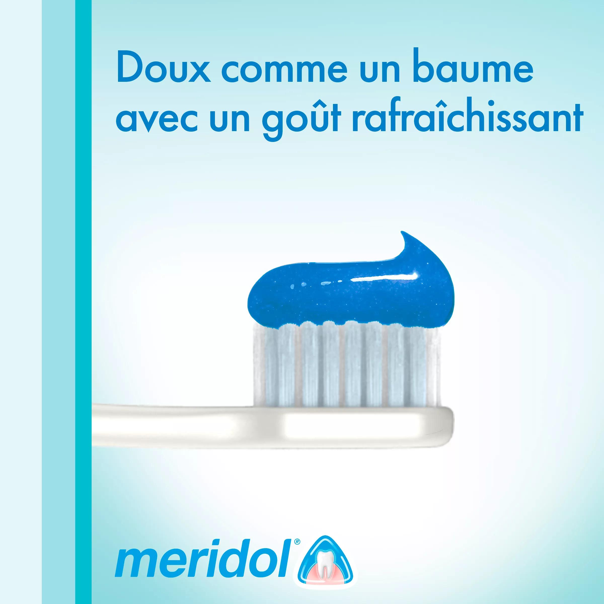 Dentifrice Meridol - Lot De 2 Tubes De 75 Ml (soit 150 Ml), Action Soin Gencives