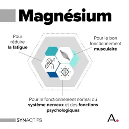 Aragan - Synactifs - Magnactifs® - Fatigue, Stress - Magnésium - 60 gélules