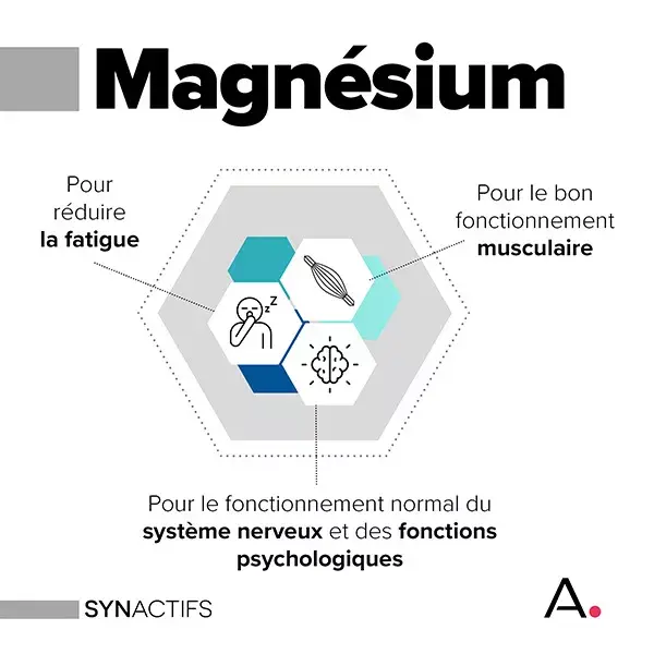 Synactifs Magnactifs Magnesium Capsules x 60 
