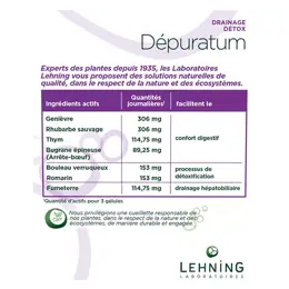 Lehning Femmes Dépuratum 60 gélules