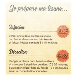 Nat & Form Tisane Reine des Prés Bio 100g