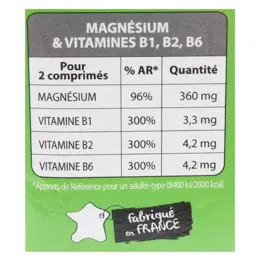 Juvamine Magnésium & Vitamines B1, B2, B6 60 comprimés