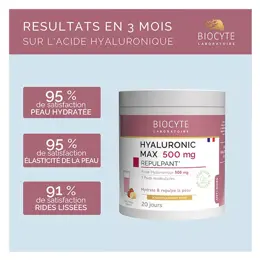 Biocyte Smoothie Hyaluronic Max 280g