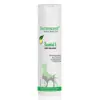 Dermoscent Essential 6 Shampoing Sébo-régulateur Chien Chat 200ml