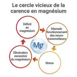 MAG 2 Examens Magnésium Marin Vitamine B6 Concentration 30 comprimés