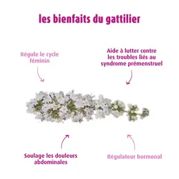 A.Vogel Gattilier Cycle Menstruel 50ml