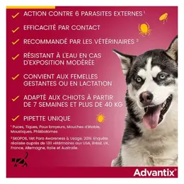 Advantix Chien Solution Antiparasitaire Très Grande Race 40 à 60kg 6 pipettes