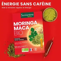 Santarome Bio - Moringa Maca Bio - Energie sans caféine - 20 ampoules