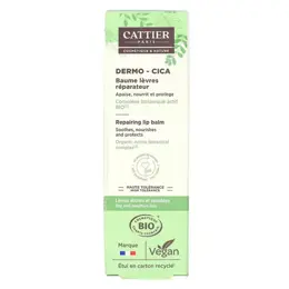 Cattier Dermo-Cica Baume à Lèvres Réparateur Bio 15g