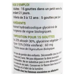 Oemine Macérât Glycériné Vigne Bio 30ml