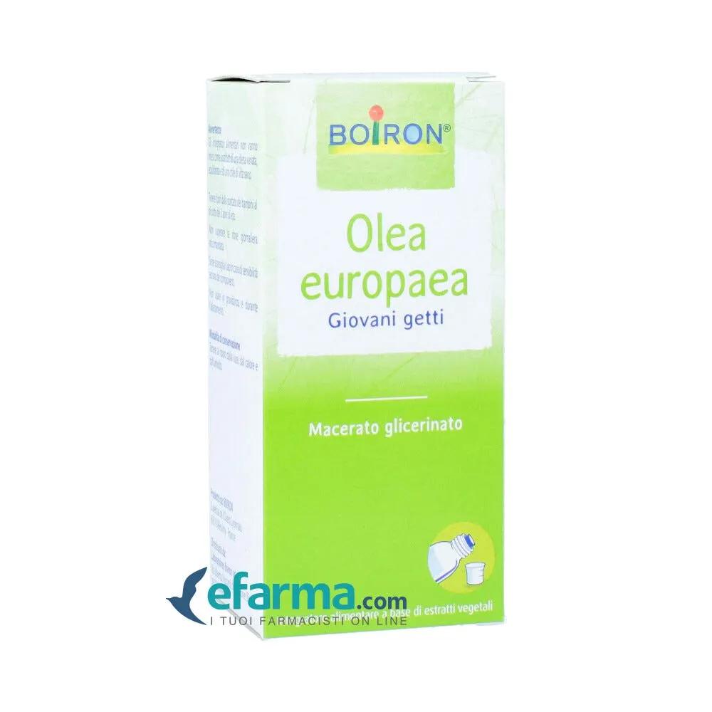 Boiron Olea Europaea Giovani Getti Integratore di Estratti Vegetali 60 ml