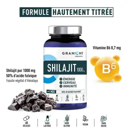 Granions Shilajit 1000 mg - Shilajit Pur Himalaya - 60 Gélules - Format 1 Mois