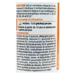 Nutergia Ergycébé 90 gélules