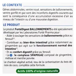 Forté Pharma Forté Digest Ballonnements 30 gélules