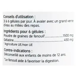 Nat & Form Original Fenouil 200 gélules