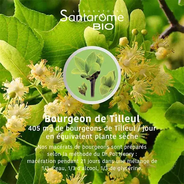 Santarome Bio - Bourgeon de Tilleul Bio - Gémmothérapie - Flacon de 30ml