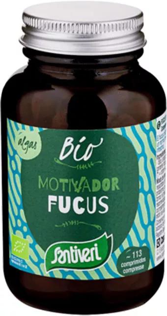 Santiveri Algue Fucus Bio 113 Comprimés