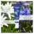 Weleda Gentiane Bleue & Edelweiss Soin Yeux & Lèvres Redensifiant Bio 10ml