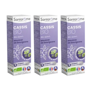 Santarome Bio - Germogli di Ribes Nero Biologico - Gemmoterapia - Confezione da 3 flaconi da 30 ml