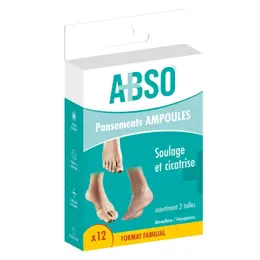 Marque Verte ABSO Pansements ampoules assortiments pack familial - Boîte de 12