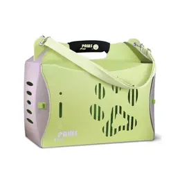 Boite de Transport Pliable Chien Verte