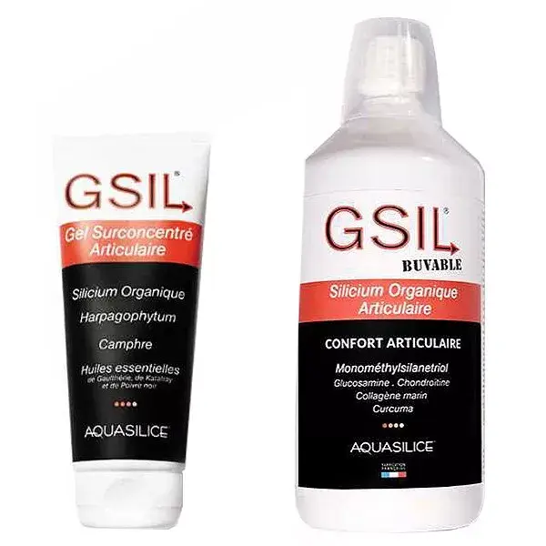 Aquasilice GSIL Routine Globale Articulations