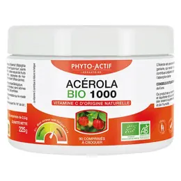 Phyto-Actif Acérola Bio 1000 90 comprimés