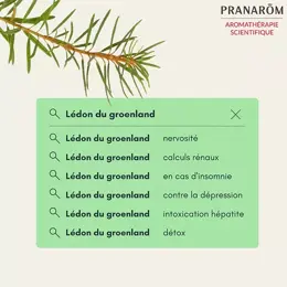 Pranarom Huile Essentielle Lédon du Groenland 5ml