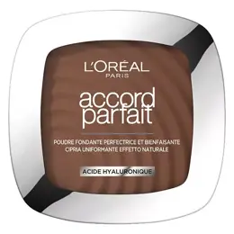 L'Oréal Paris Accord Parfait Poudre Unifiante 11N Café Profond 9g