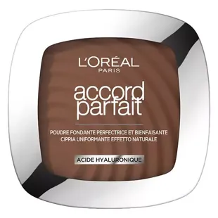 L'Oréal Paris Accord Parfait Polvere Unificante 11N Caffè Scuro 9 g