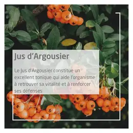 Weleda Détox et Vitalité Jus d'Argousier Bio 250ml