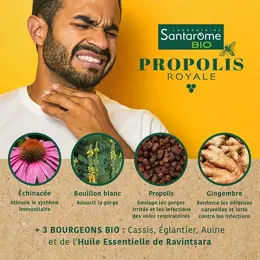 Santarome Bio Sirop Propolis Bio Triple action 125 ml