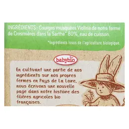 Babybio Légumes Pot Courge Violina +4m Bio Lot de 2 x 130g