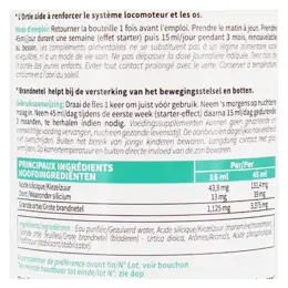 Dexsil Organic Silicium Bio-activé 1L