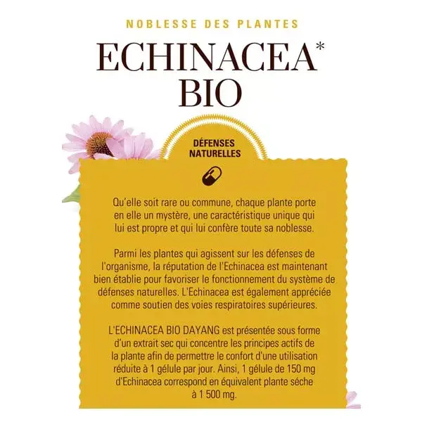 Dayang Echinacea Bio 15 gélules